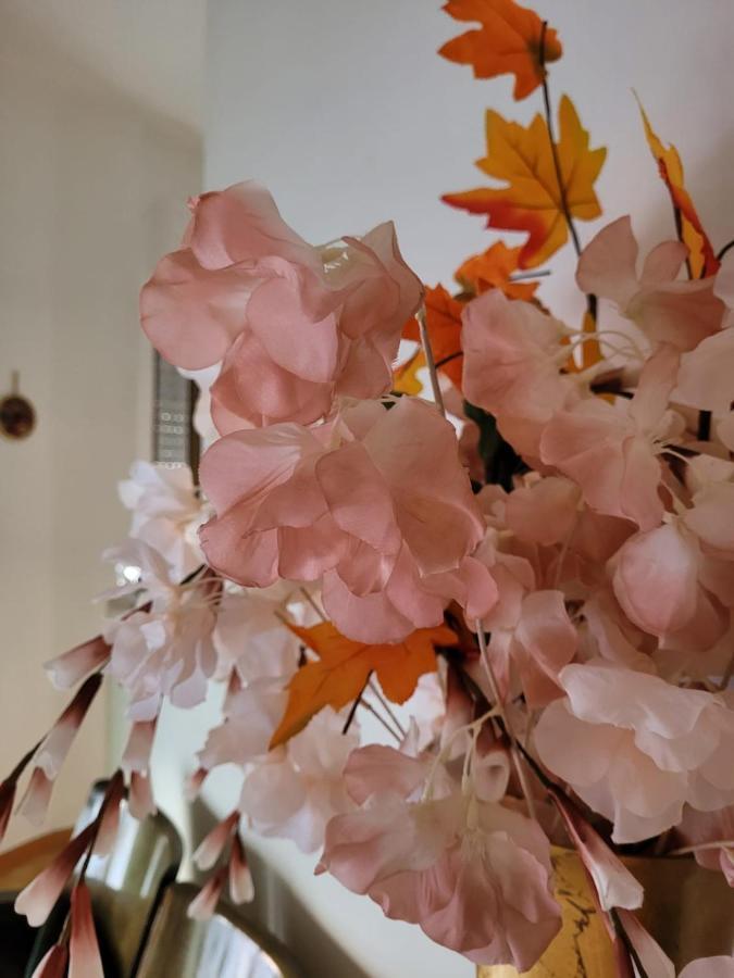 La Maison De Rose 图里 外观 照片